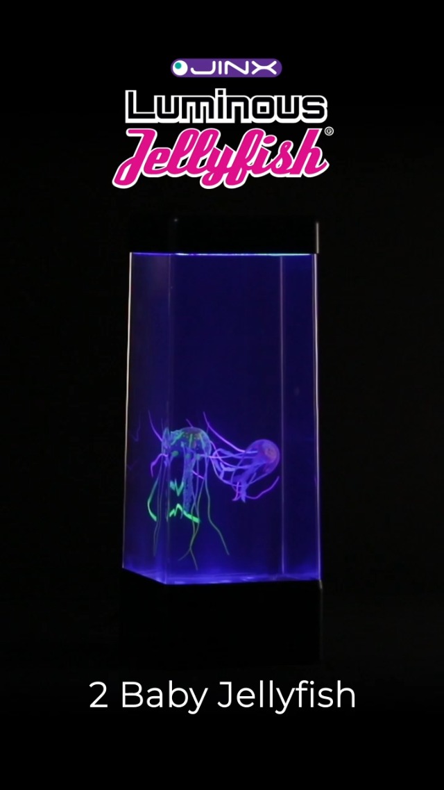 Amazon.com: Baby Jellyfish Accessory for JINX Luminous Jellyfish